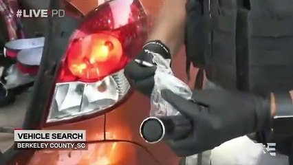 Live PD - Se4 - Ep62 - Ep05 08.20 HD Watch HD Deutsch