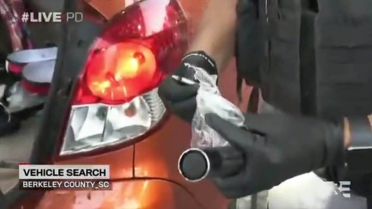 Live PD - Se4 - Ep62 - Ep05 08.20 HD Watch HD Deutsch