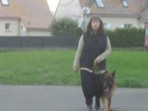 SUITE EN LAISSE - vidéo 18 mars 08 006