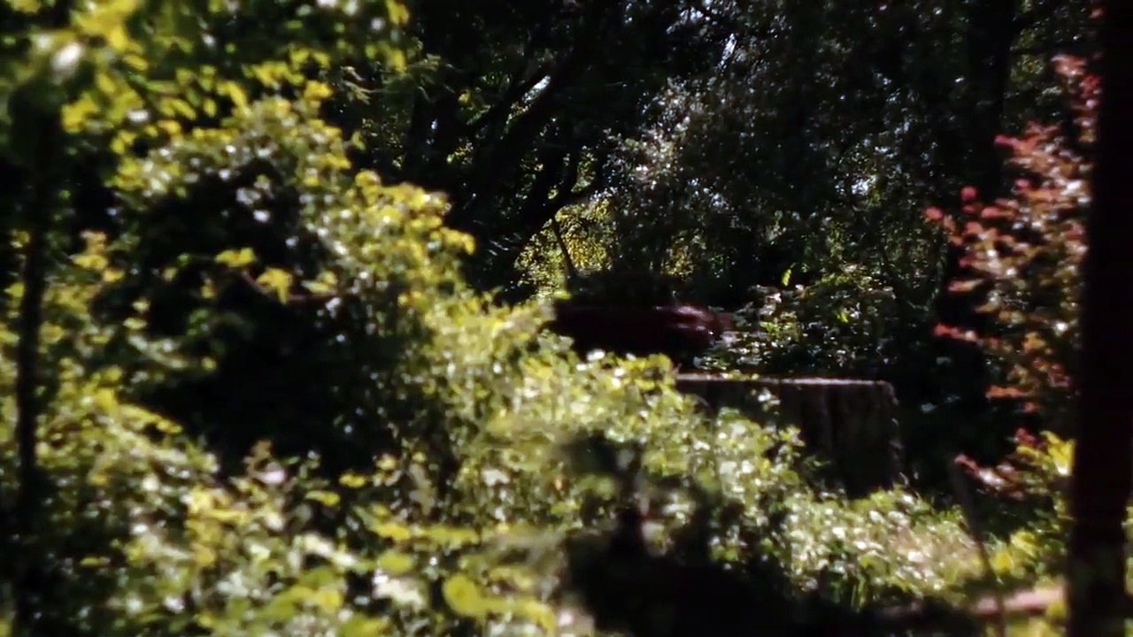 Carrion (2020) Watch HD HD Deutsch Vídeo Dailymotion