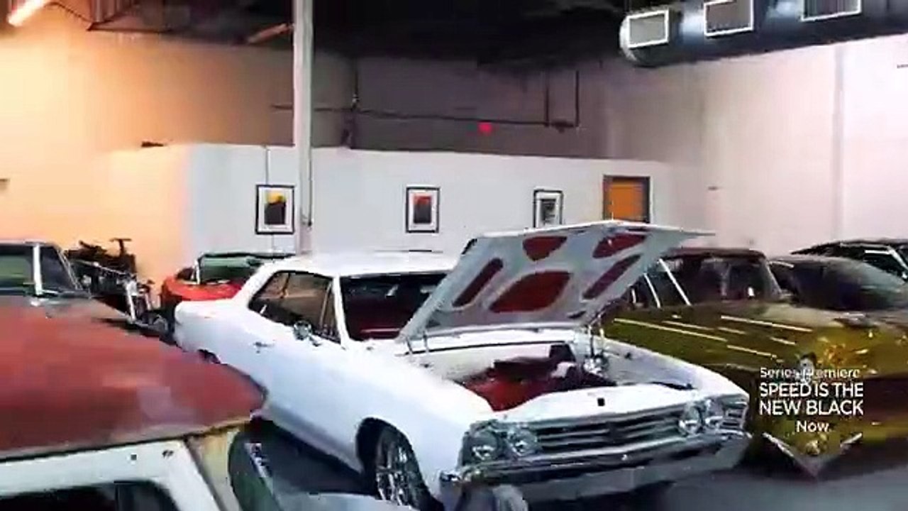 Speed Is the New Black - Se1 - Ep01 - A Mustang's Twists and Turns HD Watch HD Deutsch