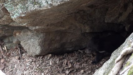Winterschlaf beim Menschen – zum Greifen nah