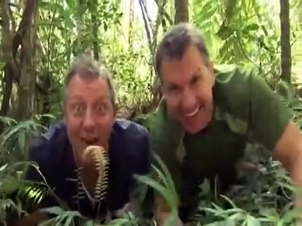 Wild Kratts - Se3 - Ep21 HD Watch HD Deutsch