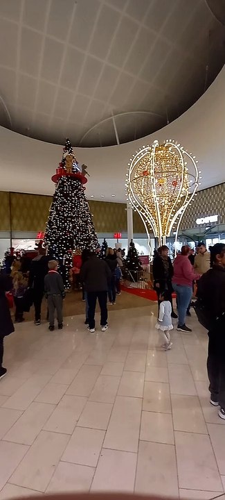 Christmas Decoration in Grenoble  Noël   en France #Noël #noel #christmas2022 #christmasdecor #decoration #christmas #france (17)