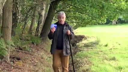 Witless - Se3 - Ep02 HD Watch HD Deutsch