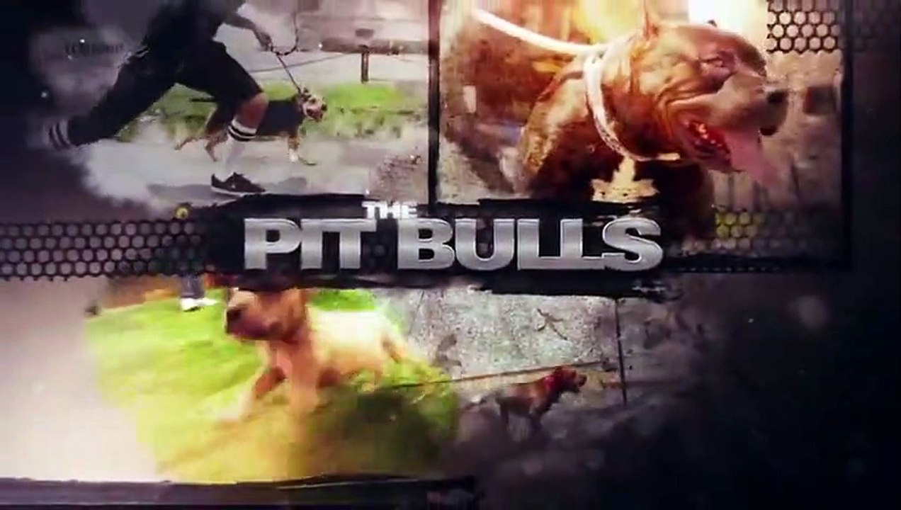 Pit Bulls and Parolees - Se13 - Ep03 - A Family Connection HD Watch HD Deutsch