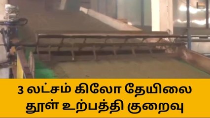 ஒரே வாரத்தில் ரூ.3 கோடி இழப்பு! தேயிலை தூள் உற்பத்தி பாதிப்பு!