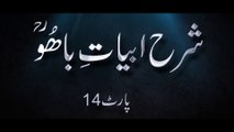 Sharah Abyat e Bahoo | شرح ابیاتِ باھُو | Sultan-ul-Ashiqeen | Kalam e Bahoo | Part 14