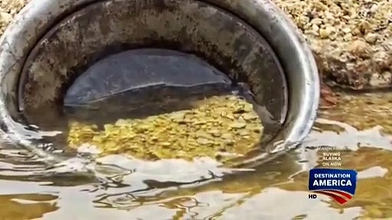 Buying Alaska - Se2 - Ep20 HD Watch HD Deutsch