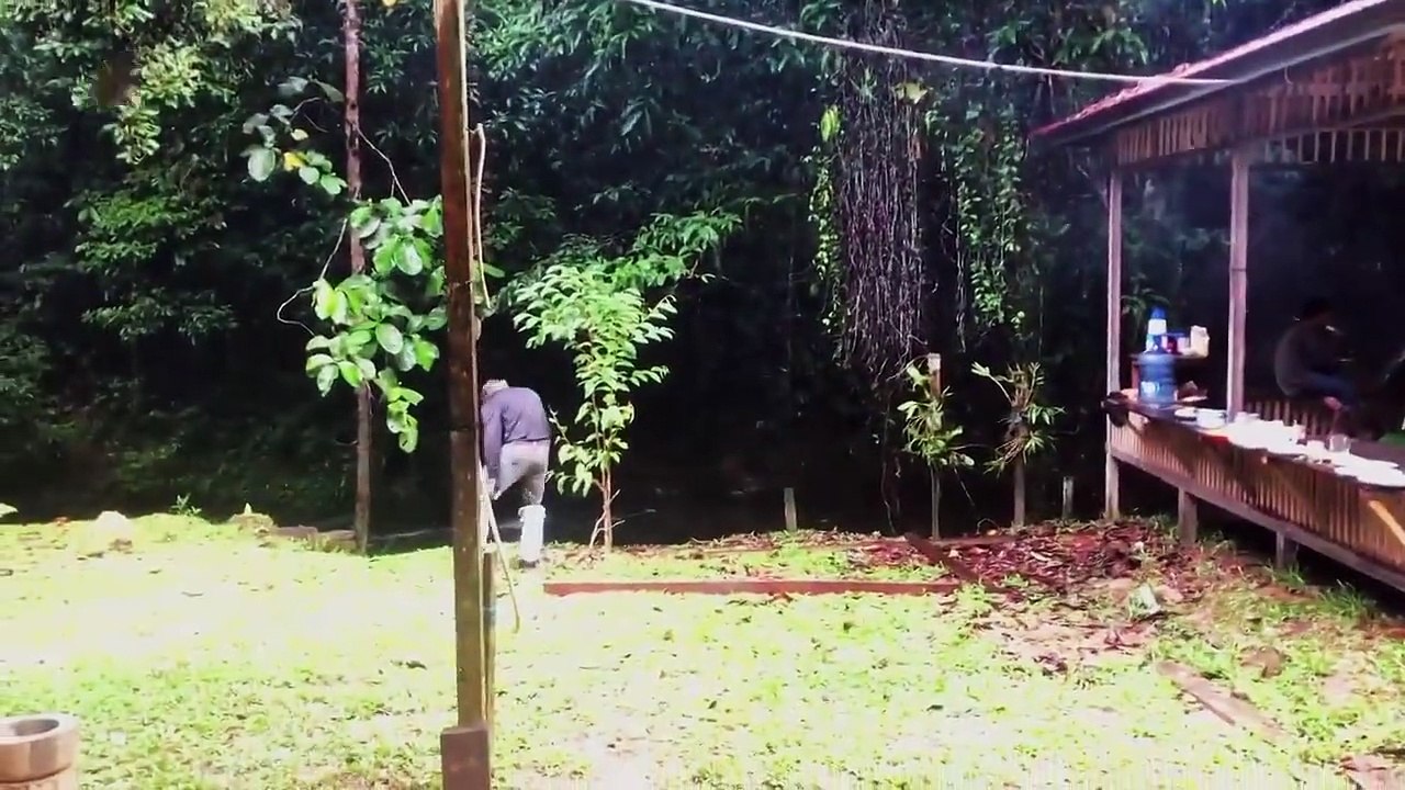 Extinct or alive - se2 - ep02 - the dracula monkey of borneo hd watch hd deutsch