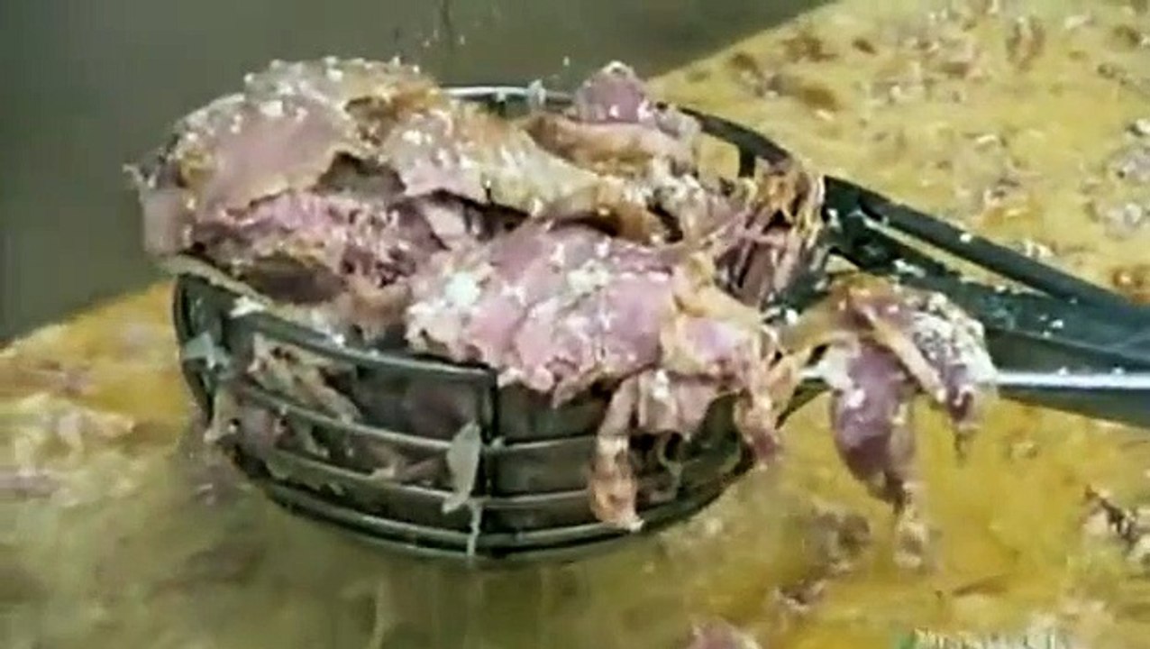 How It's Made - Se16 - Ep02 HD Watch HD Deutsch