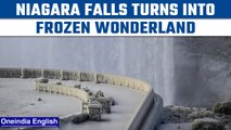 Niagara Falls freezes due to snowy blizzard, people call it ‘Frozen Wonderland’| Oneindia News *News