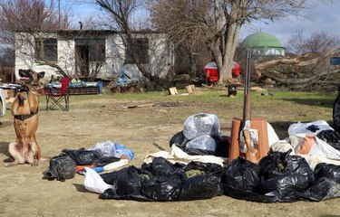 Tekirdağ'da, yılbaşında piyasaya sürülmek istenen 31,5 kilo esrar ele geçirildi