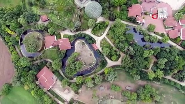 Bursa Hayvanat Bahçesi’nde yeni üye sevinci