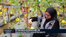 Keren! Petani asal Tasik Dapat Ilmu Menanam Melon dari Jepang