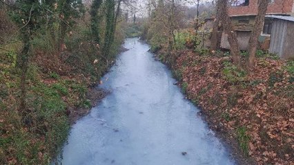 PROFESÖRDEN İZMİT KÖRFEZİ İÇİN SANAYİCİLERE UYARI