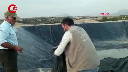 Sulama havuzuna düşen çakal kurtarıldı