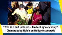 This is a sad incident, says Chandrababu Naidu on Andhra stampede