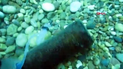 Denizin dibinde klozet, inşaat demiri, mama sandalyesi görüntülediler