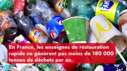 1er janvier : la restauration rapide à l'épreuve de la vaisselle réutilisable en salle