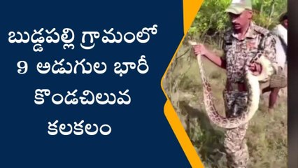 ప్రకాశం: వామ్మో కలకలం రేపిన9 అడుగుల భారీ కొండచిలువ