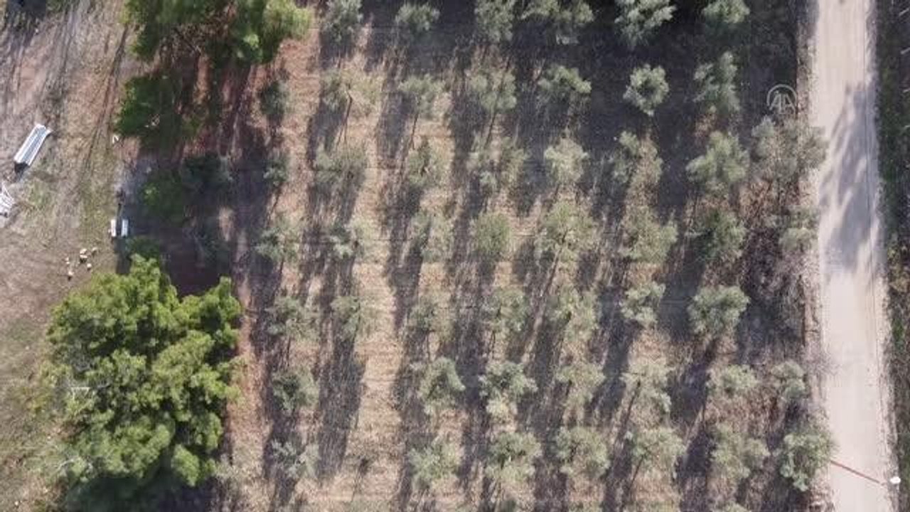 ESKİŞEHİR - Tarım öğrencileri kendilerine tahsis edilen arazide üretim yapacak