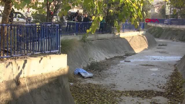 ZEYTİN TOPLAMAK İÇİN ÇIKTIĞI AĞAÇTAN DÜŞEREK ÖLDÜ