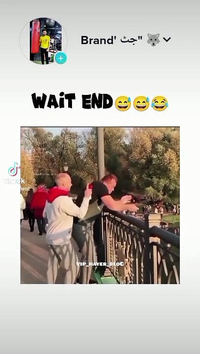 Random funny videos 