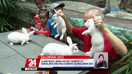 Mga paputok, maaaring magdulot ng matinding trauma sa mga hayop | 24 Oras