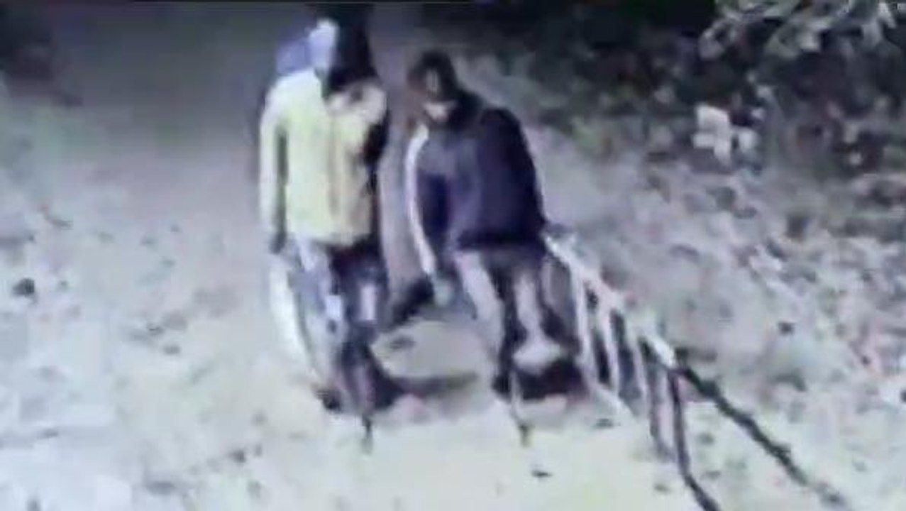 ब्रेकिंग न्यूज़: सीसीटीवी में कैद हुई चोरी की हैरान कर देने वाली घटना, देखें वीडियो