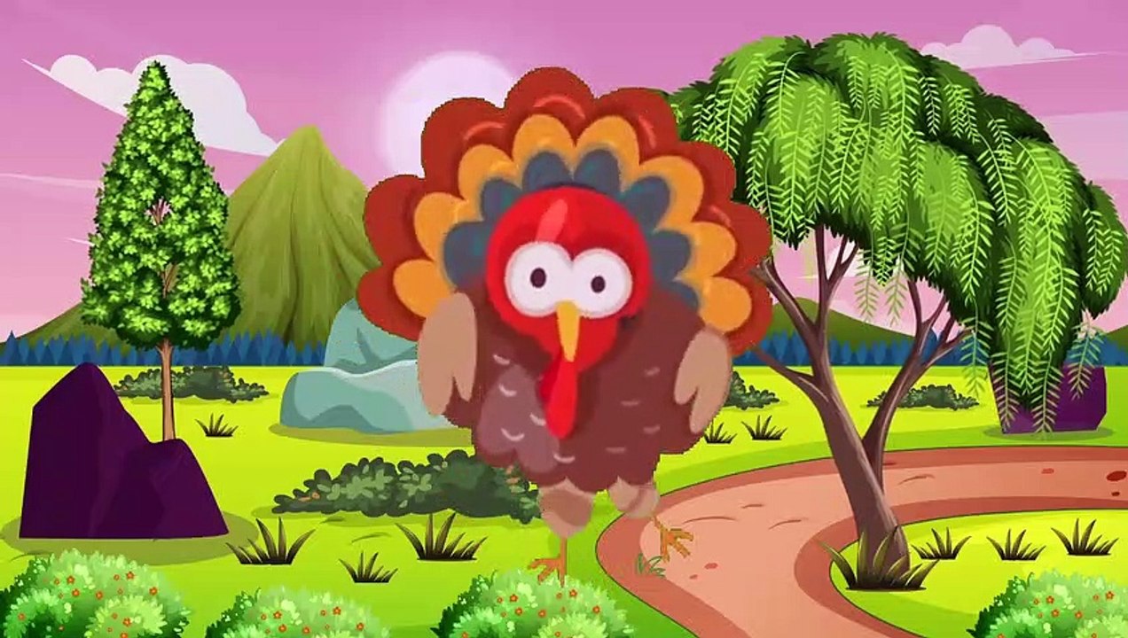 Name of Birds |Birds Name in English | Birds name english | Birds Vocabulary | Raksav kids