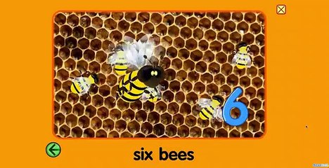 Starfall Numbers: Fun Counting for Kids 🧮