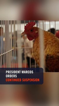 Marcos orders continued suspension of e-sabong operations