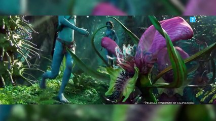 'Avatar: El sentido del agua' se corona como la más taquillera del año en España