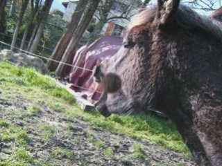 Séance photo de mes nouilles