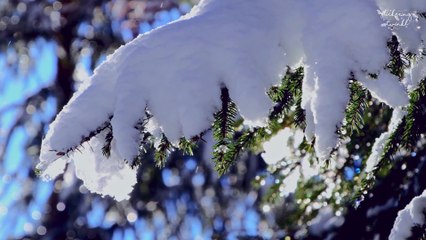 Toyland - Scott Dugdale | Instrumental Christmas Music With Peaceful Winter Ambience