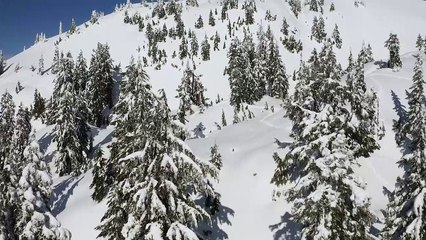 Kar Manzarası Hafif Rüzgar ve Karlı Ağaçlar