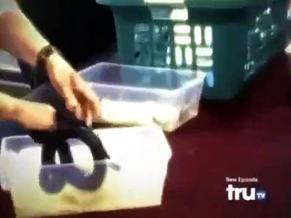 Hardcore Pawn - Se1 - Ep07 HD Watch
