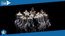 Le Lac des cygnes (France 5) : découvrez les dessous du plus célèbre des ballets de danse classique