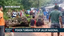 Akibat Angin Kencang, Sebuah Pohon Besar Tumbang Menutup Jalan Nasional Sukabumi-Palabuhanratu