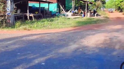 Best SokYaa Carry New Animal Back Home To Eat Together