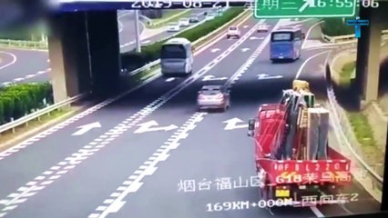 Incredible Road Moments Caught on Camera