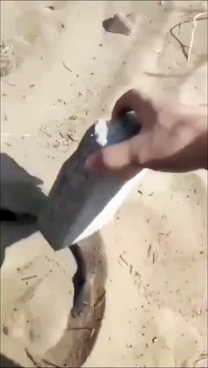 Un trou dans le sable qui aspire tout ce qu'on met dedans... mysterieux