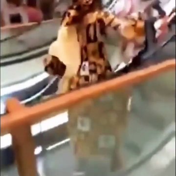Des Camerounais prennent un escalator pour la première fois