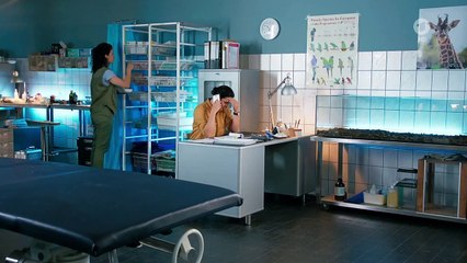 Tierärztin Dr. Mertens Staffel 6 Folge 9