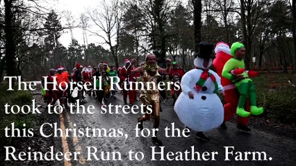 Horsell Runners' Reindeer Run