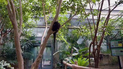 Tierärztin Dr. Mertens Staffel 7 Folge 2