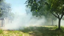 Fumaça de incêndio em vegetação incomoda vizinhos no Cancelli