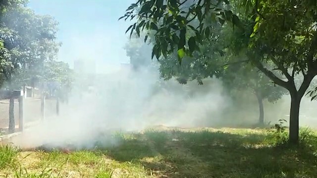 Fumaça de incêndio em vegetação incomoda vizinhos no Cancelli