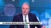 Jérôme Béglé : «A force de tirer des prix vers le bas, le producteur primaire a des prix de plus en plus bas»